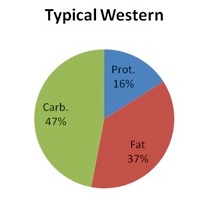 Typical Western Diet